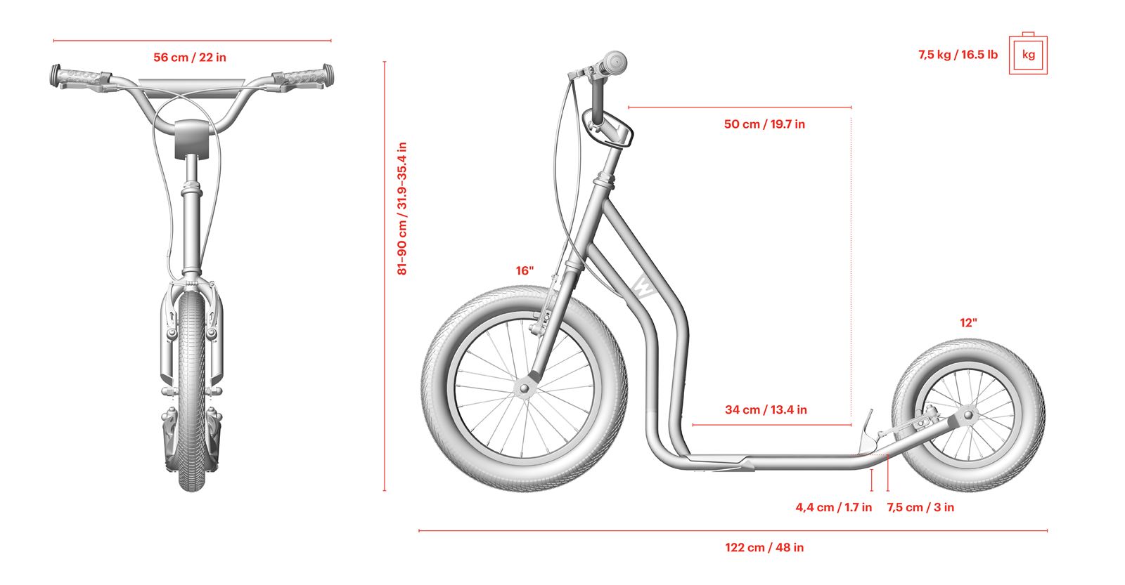 wzoom dimensions